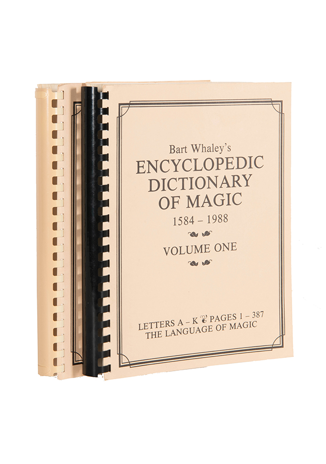Kate spade outlet dictionary clutch