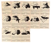 Series of Thirteen Shadowgraphs