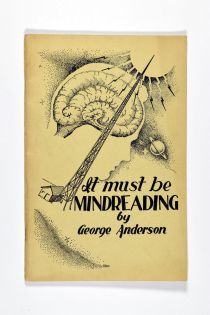 It Must Be Mindreading