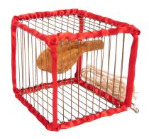 Vanishing Bird Cage