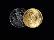 Adams Set of Two Coins