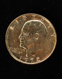 Gold Plated Dollar