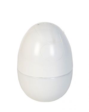 Dove Egg
