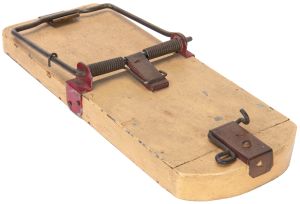 Card Catching Rat Trap