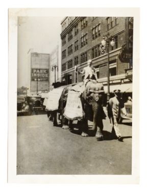 Joe Lightner Elephant Photograph