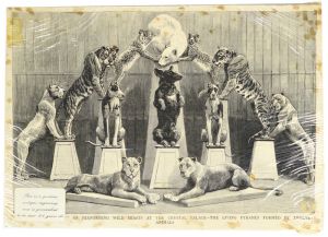 Antique Circus Engraving