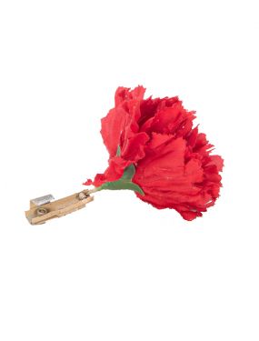 Match to Flower
