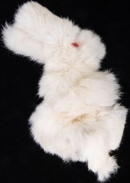 Real Fur Spring Rabbit