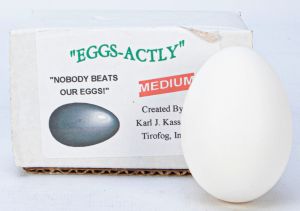 Eggs-Actly