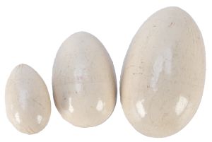 Diminishing Egg