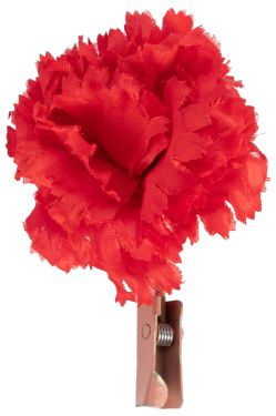 Match to Flower, Red Carnation