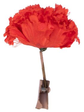 Match to Flower, Red Carnation