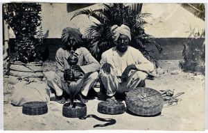 Snake Charmer Postcard