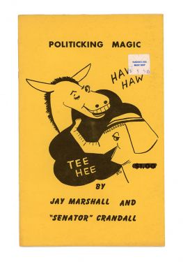 Politicking Magic