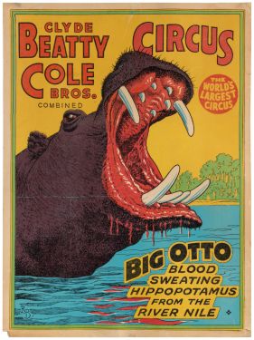 Clyde Beatty Cole Bros. Circus Big Otto Window Card