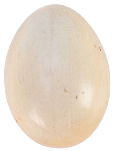 MA3097.1.jpg